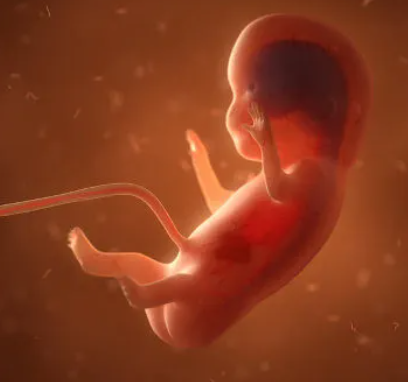 O HOMEM TA UMA MÁQUINA 🔥🔥👏

🇺🇸 O presidente Trump assinou uma Ordem Executiva garantindo que nenhum financiamento federal seja destinado a abortos.

Que vitória meus amigos, que vitória.. 🙏🙌