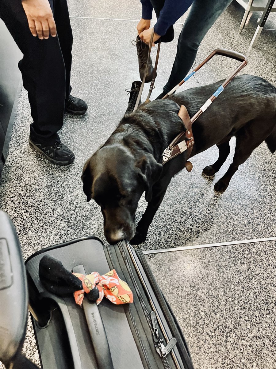 EmersonLotzia's tweet image. philly, we are inside you … about to mingle with eagles fans ahead of tomorrow’s NFC title game 👀 catch us LIVE on DK Network’s &apos;Pregame PowerUp&apos; tomorrow morning from 11-12 ET from outside the Linc 🫡