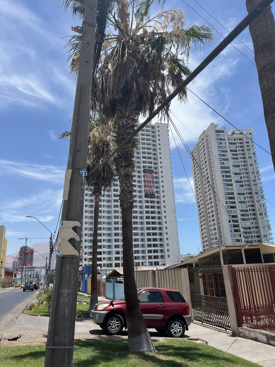 AndreaMandiola's tweet photo. @IquiqueDeTodos @CGE_Clientes por favor llevan desde diciembre con este cable así. Cada día cae más y viven personas adulto mayor, por favor 🙏🏽 pueden ayudarlos y sacarlos , sector av Playa Brava con Cardenal Caro, Iquique https://t.co/QrW2cYgCAa