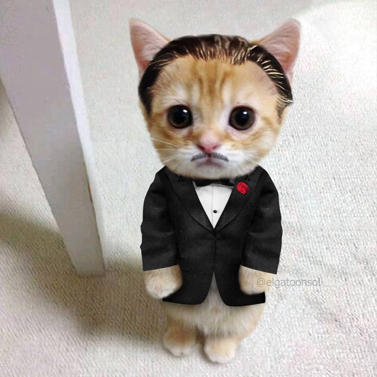 Park Lucy tweet media