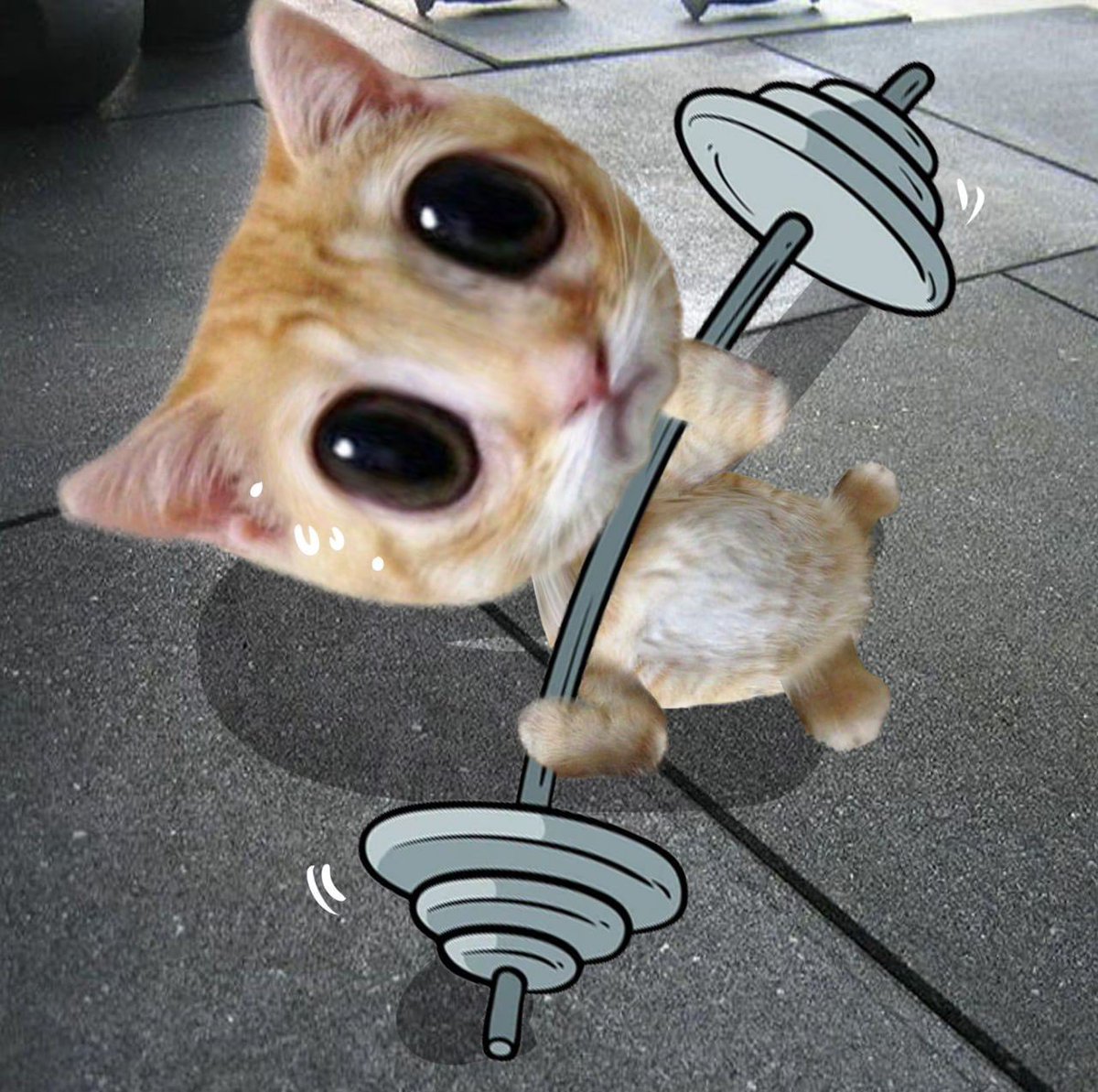 Park Lucy tweet media