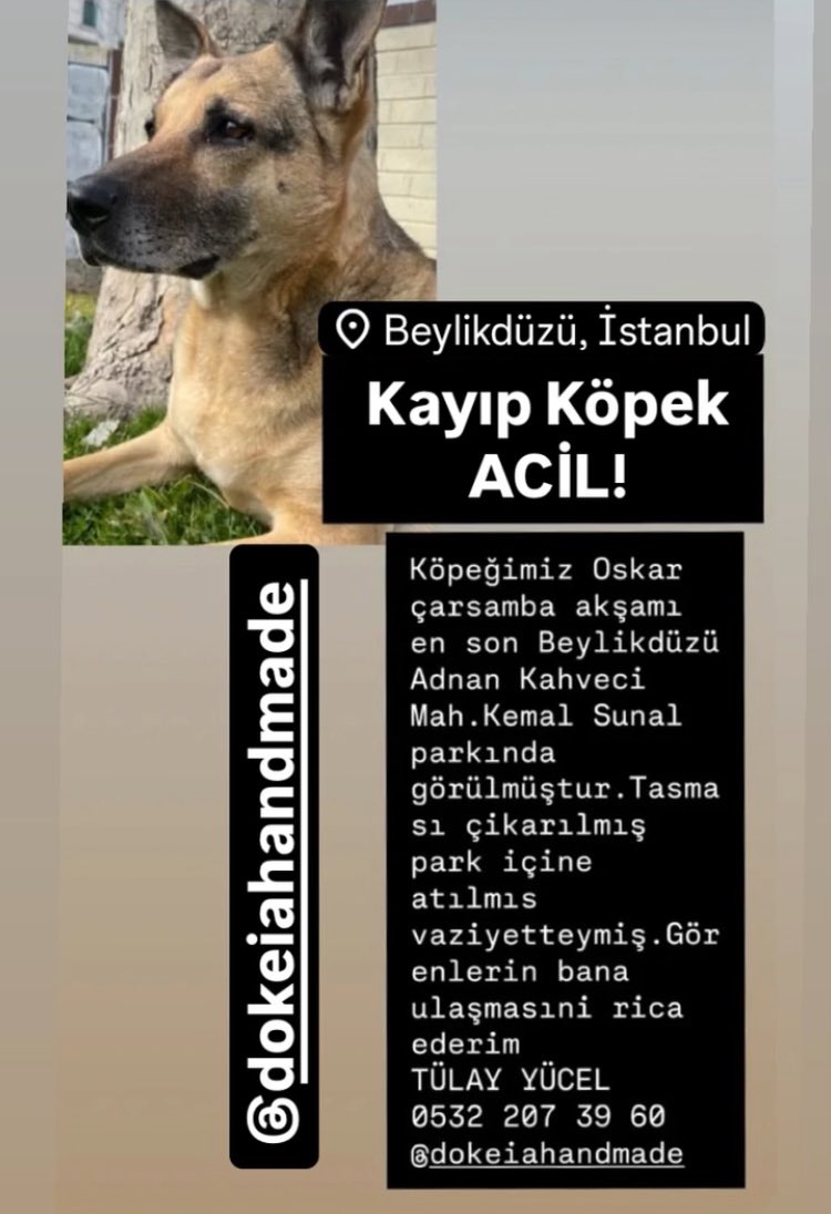 #kayıpköpek En son Beylikdüzü Adnan Kahveci Mahallesi Kemal Sunal Parkında görülmüş. Görenlerin iletişime geçmesini rica ediyoruz. 

instagram.com/dokeiahandmade