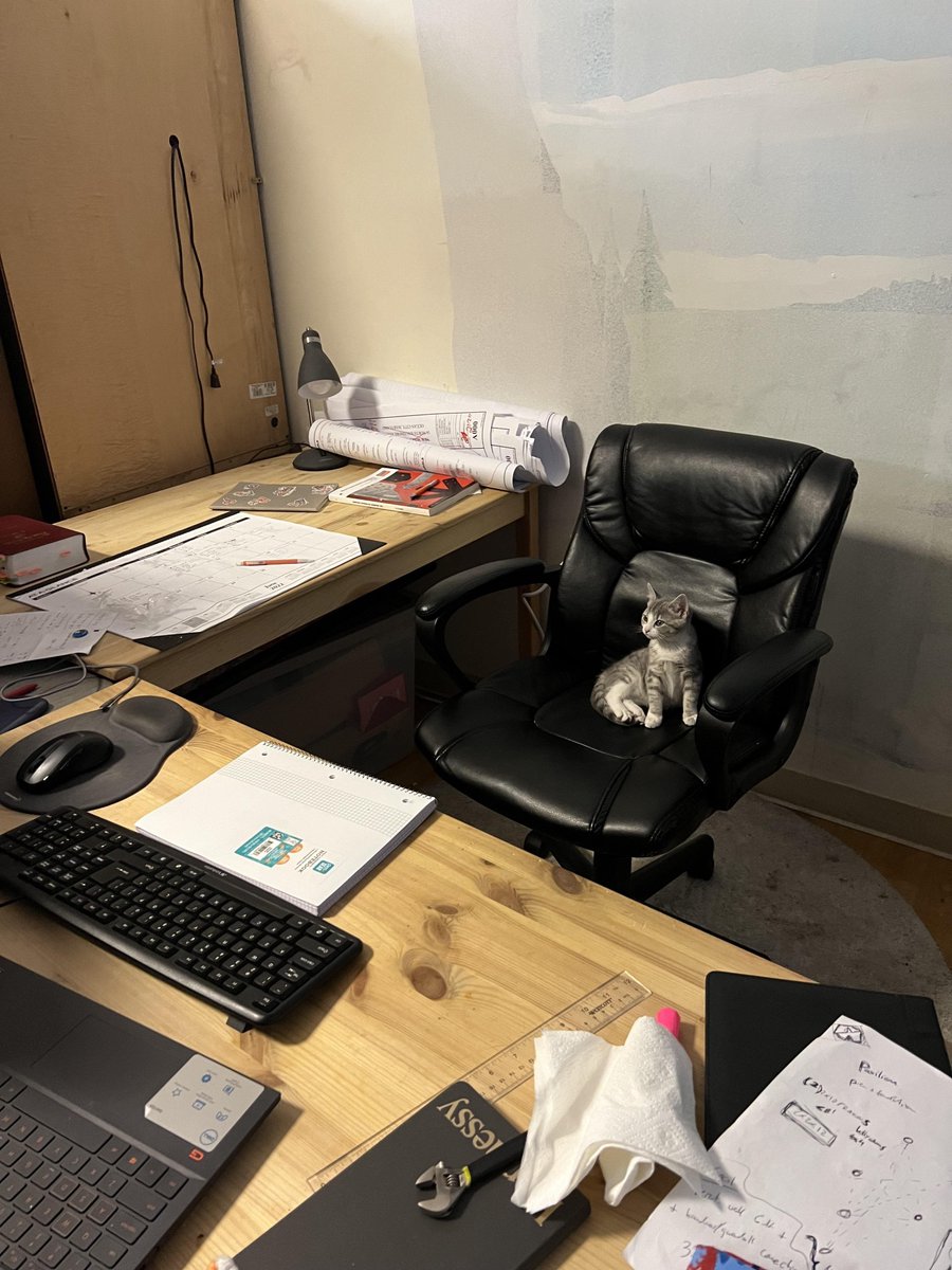 CatWorkers's tweet photo. 📸 AnswerLive45 https://t.co/hq9wW2TN09