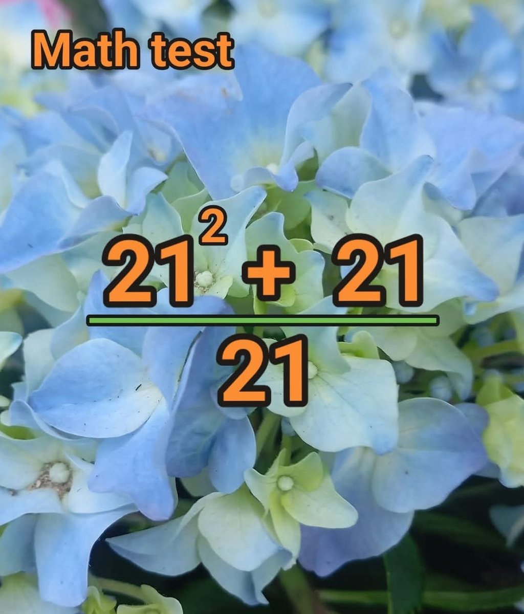 brainyquiz_'s tweet photo. Math Challenge Solve This Quiz ❓🖊️
#mathmatic
#Riddelr
#iQ TEST
#Puzzle https://t.co/qSGPlbflwL
