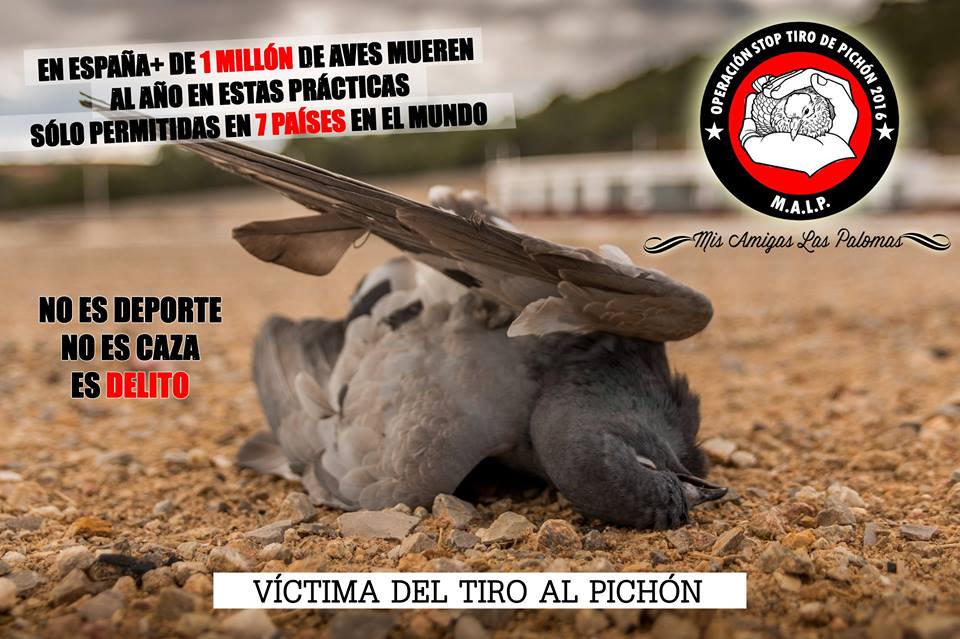 nosoyplaga's tweet photo. https://t.co/sf6c5Li925
