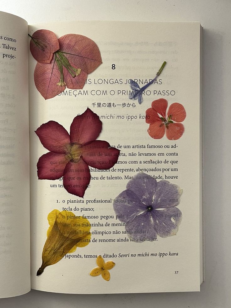 𝕏LIX 409. (@xlix_409) on Twitter photo 