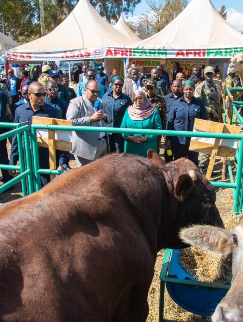 Ahmed Asas (@ahmedsalimasas) on Twitter photo Rais <a href="/SuluhuSamia/">Samia Suluhu</a> amekuwa na mchango muhimu katika kuendeleza sekta ya ufugaji nchini Tanzania. Akitambua kwamba sekta hii ni muhimu kwa uchumi wa nchi na ustawi wa jamii za wafugaji, ameweka mikakati mbalimbali inayolenga kuboresha usimamizi wa mifugo, huduma za afya za mifugo, Rais <a href="/SuluhuSamia/">Samia Suluhu</a> amekuwa na mchango muhimu katika kuendeleza sekta ya ufugaji nchini Tanzania. Akitambua kwamba sekta hii ni muhimu kwa uchumi wa nchi na ustawi wa jamii za wafugaji, ameweka mikakati mbalimbali inayolenga kuboresha usimamizi wa mifugo, huduma za afya za mifugo,
