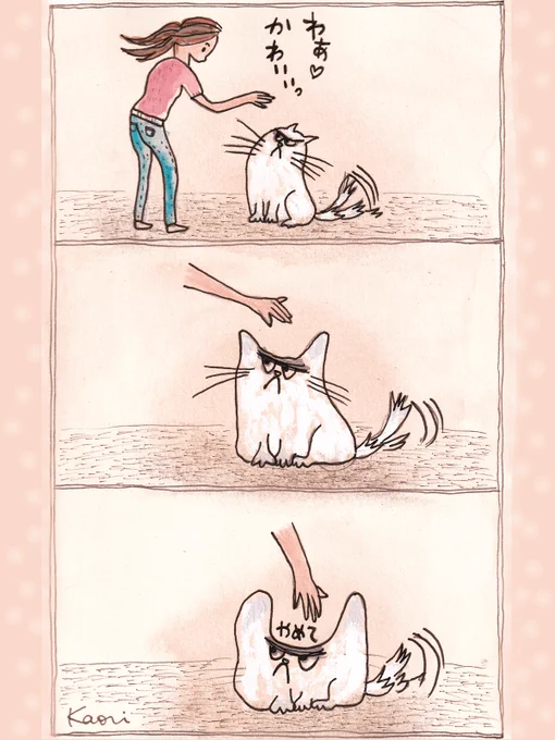 #猫漫画 #猫
気分ではありません😑 