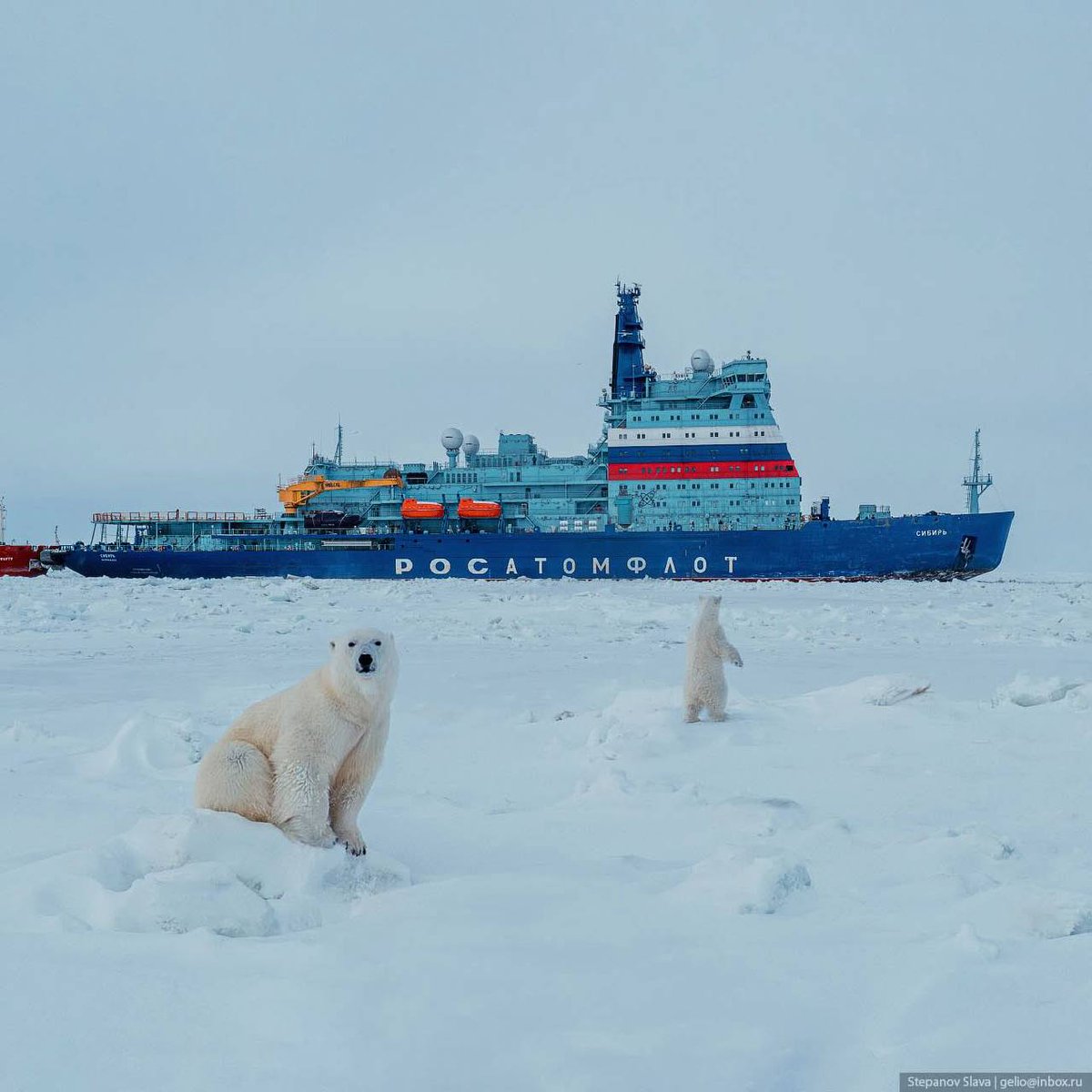 No Context Russia (@russia_nc) on Twitter photo 