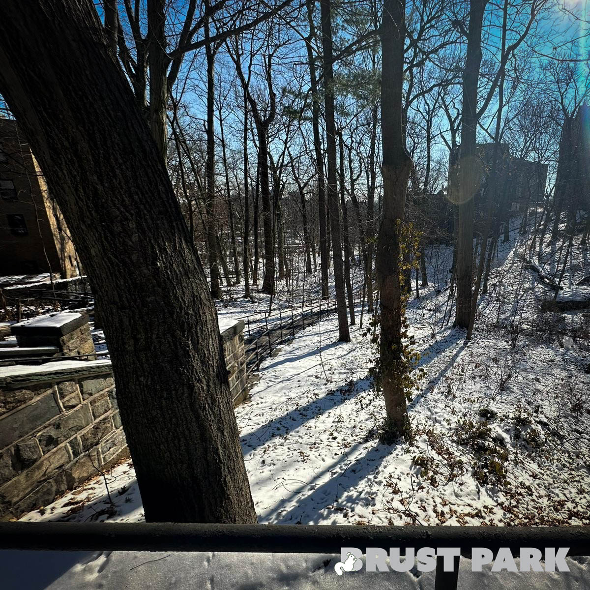 BrustParkBronx's tweet photo. #BrustPark is a serene #winter wonderland, with snow-covered landscapes and glistening #trees.  Amidst the #snow, signs of spring emerge with tiny buds and a thawing creek, hinting at renewal. 🌱🌷

https://t.co/HWbyZyNWyd https://t.co/rLYUho5t57
