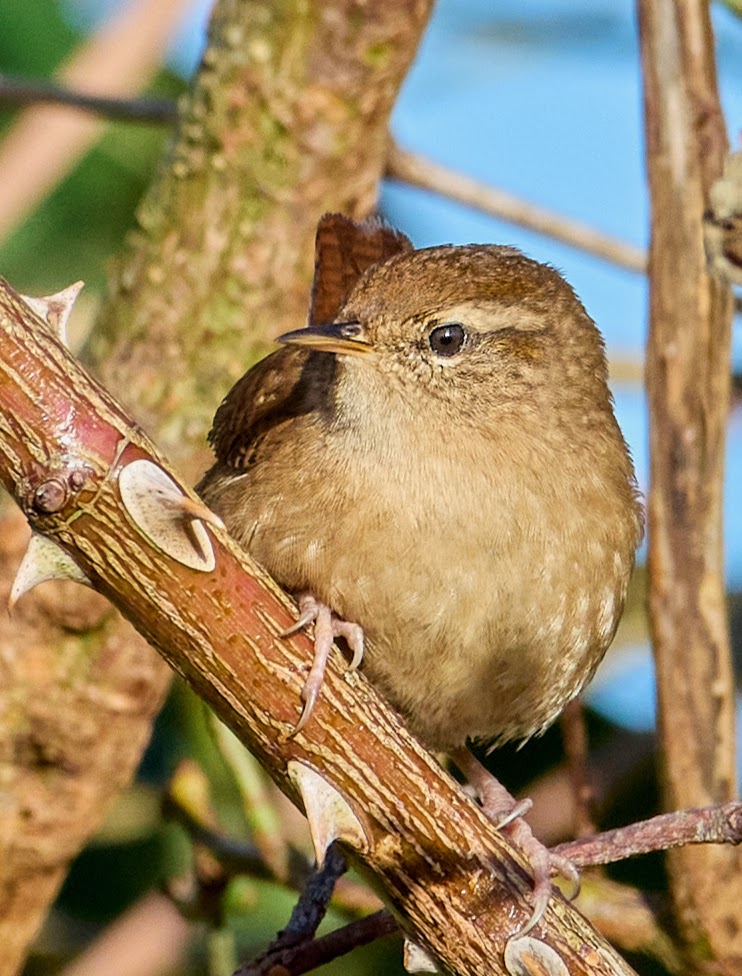 paul hayes tweet media