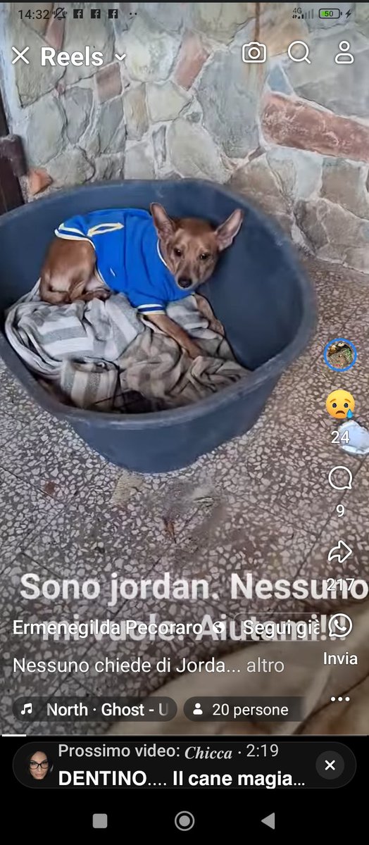 Annalisa Cotrozzi 🇮🇹🇷🇺 tweet media