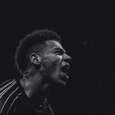 RWL_PSG's tweet photo. #NouvellePhotoDeProfil https://t.co/6vpH2ErGYH