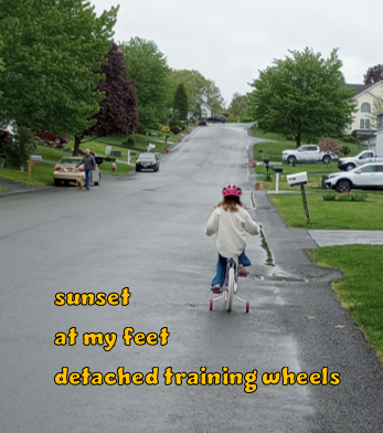 I got this haiku published in the new issue of bottle rockets.

sunset
at my feet
detached training wheels