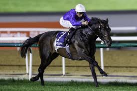 HORSERACING1002's tweet photo. MEASURED TIME 🇬🇧2020
(FRANKEL - MINIDRESS BY STREET CRY)
#MeasuredTime
B/O Godolphin 🇬🇧February 4, 2020
T/ Charles Appleby
11-7-2-0---$1,568,507
Manhattan S G1, Al Rashidiya G2 (2), Jebel Hatta G1,
2nd Floodlit S, Sword Dancer S G1
Died January 24, 2025 https://t.co/IUrS9gMaDz