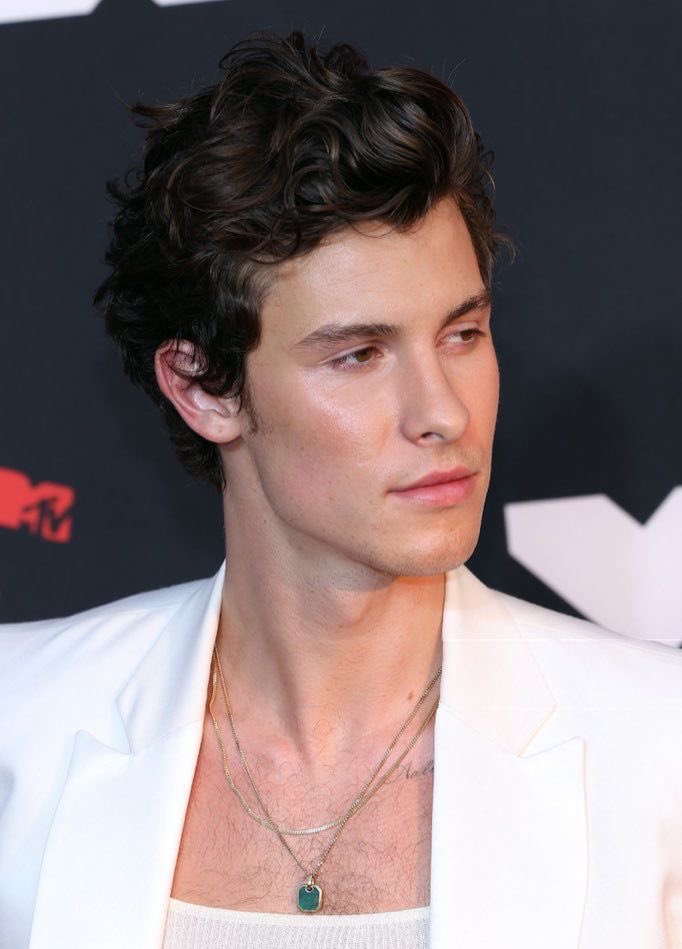 Shawn Mendes is the prettiest man in the music industry