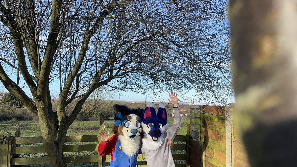 Hiiiiiiiii from <a href="/CollieBenny/">Benny</a> and <a href="/kluethewolf/">💙Klue the Wolf</a>