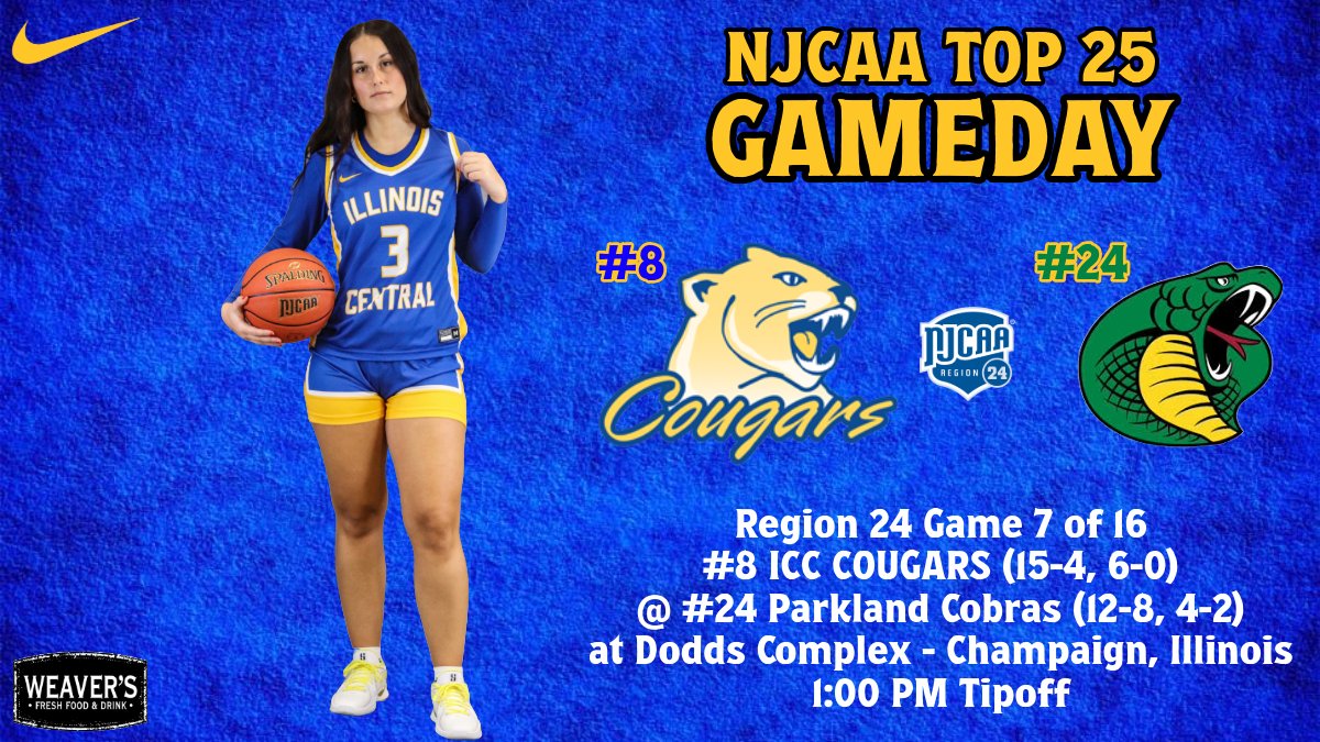 Top 25 road trip on deck! 

🥊 | Region Game 7 of 16
🏀 | #8 Cougars
🆚 | #24 Parkland
📍 | 2400 W Bradley Ave, Champaign, IL
🕰️ | 1:00 PM
📺📻 | liinks.co/icc_cougarswbb

#WINTHEDAY
