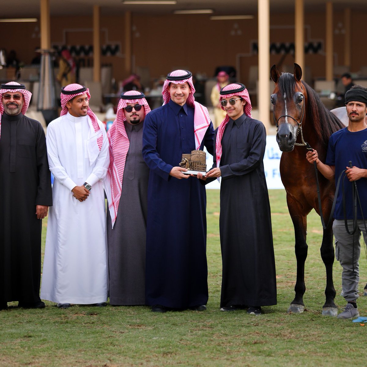 (مقبول الجنادرية) الفحل الفائز بالفضة في الفئة السادسة عشر فحول أعمار أربع سنوات أكبر بمجموع نقاط (34.00) في بطولة الجمال في مهرجان الأمير سلطان بن عبدالعزيز العالمي للجواد العربي