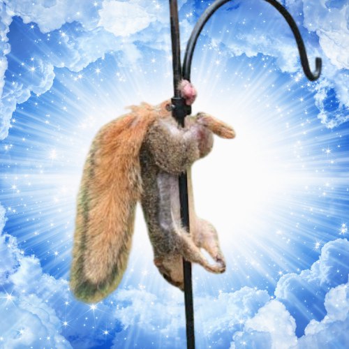 nabzgmi's tweet photo. Bro can just bond this stupid squirrel ffs???

3expCde6ntZXaHeJELemHpMhC79yGFF7fjPBanN1pump

$POSTNUT #POSTNUT https://t.co/LnawxklFWa