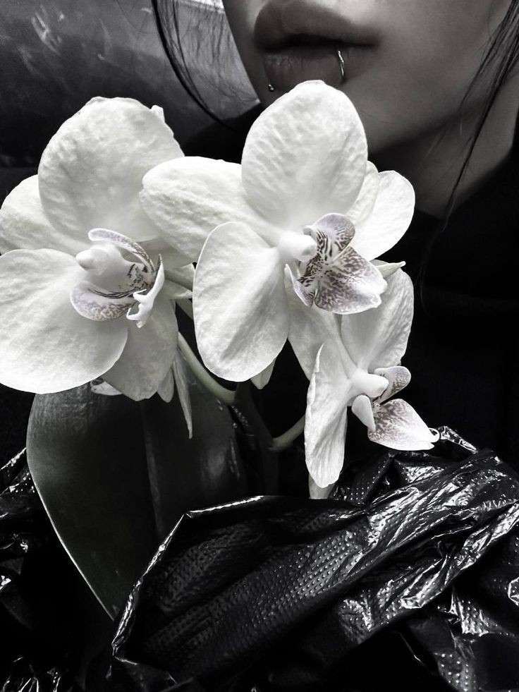 Bonjour! Hoje eu não quero fazer nada, vou só aproveitar o dia.