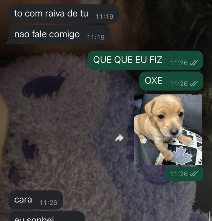 Memes para marcar ele(a) (@memeparaoarroba) on Twitter photo 