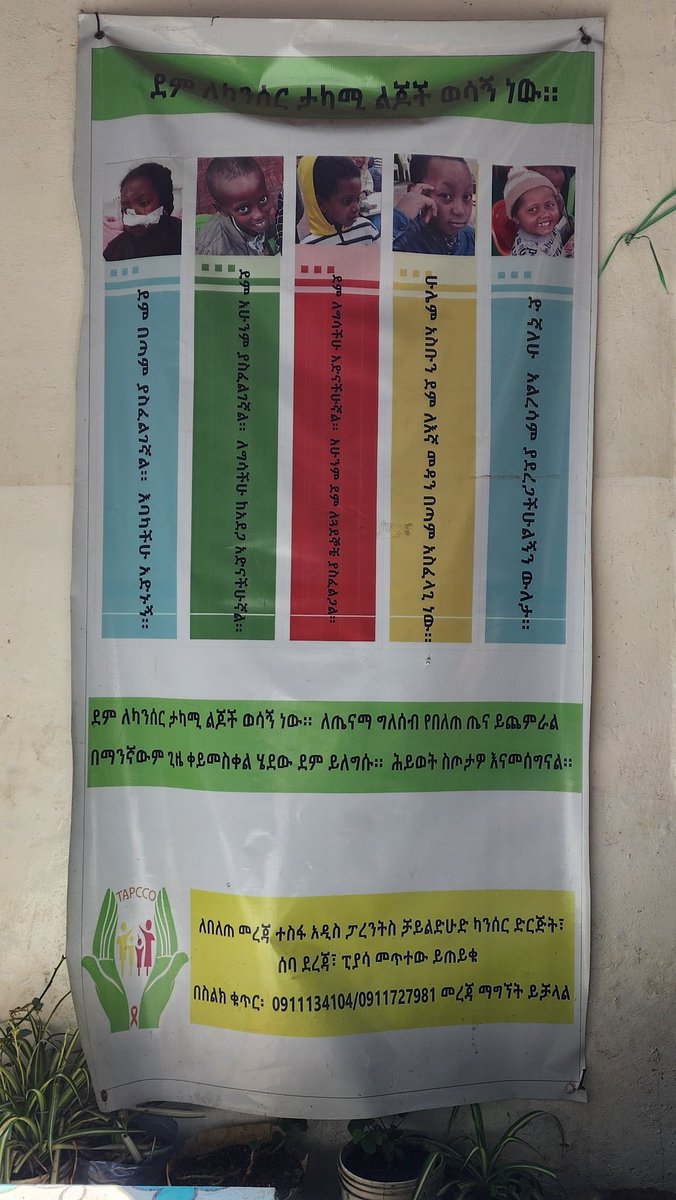 ዲና በላይነህ ላዕከ tweet media