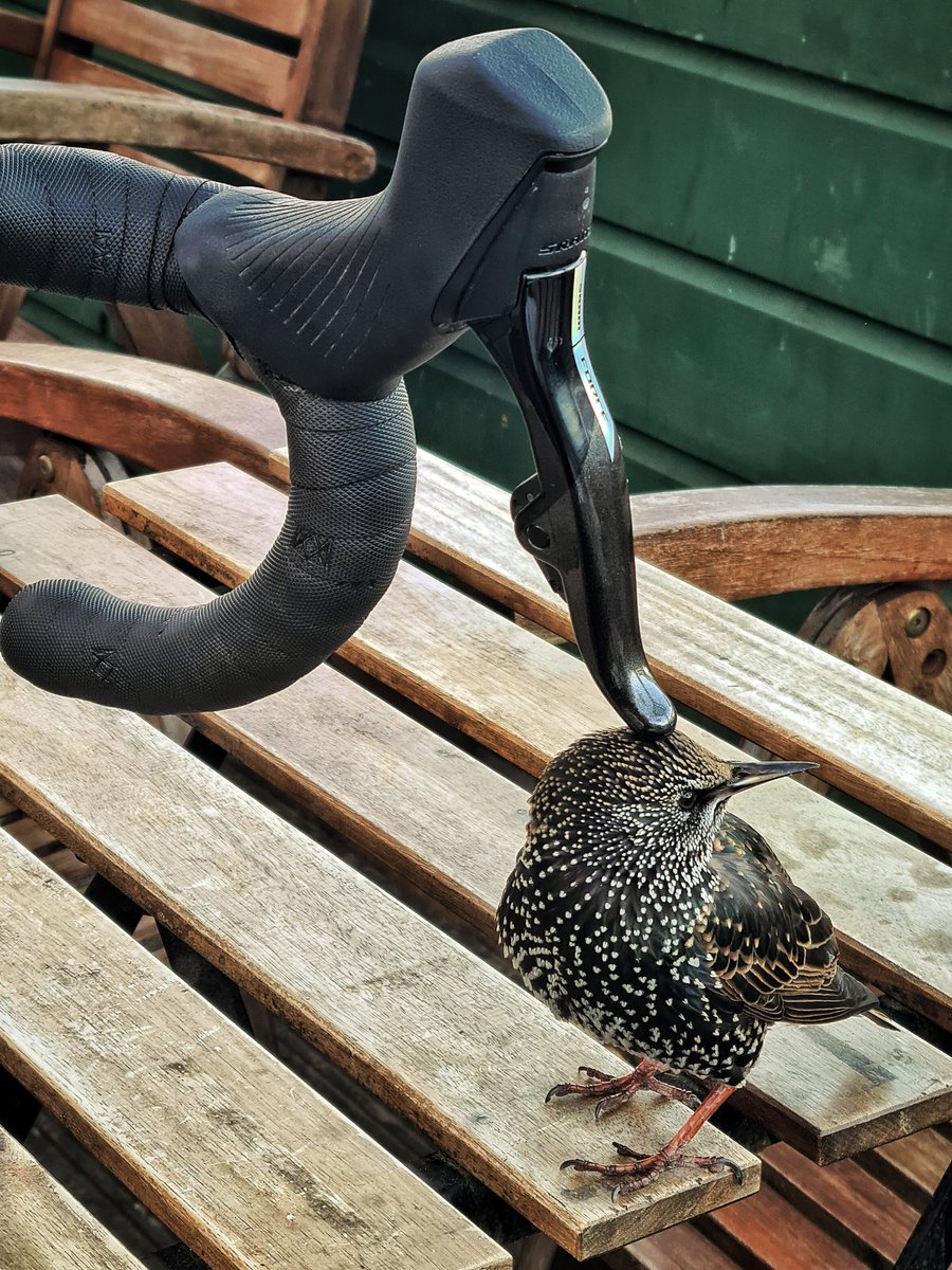 Mark_Hand tweet media