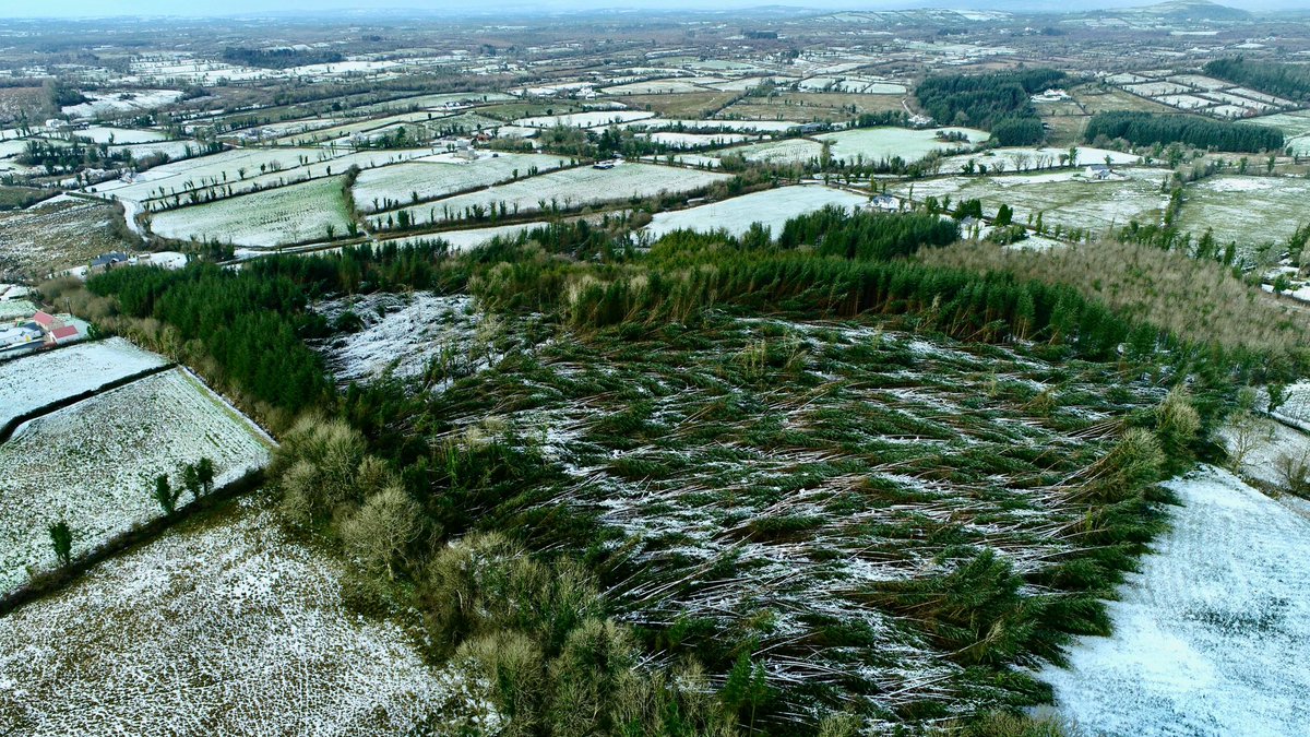 Save Leitrim tweet media