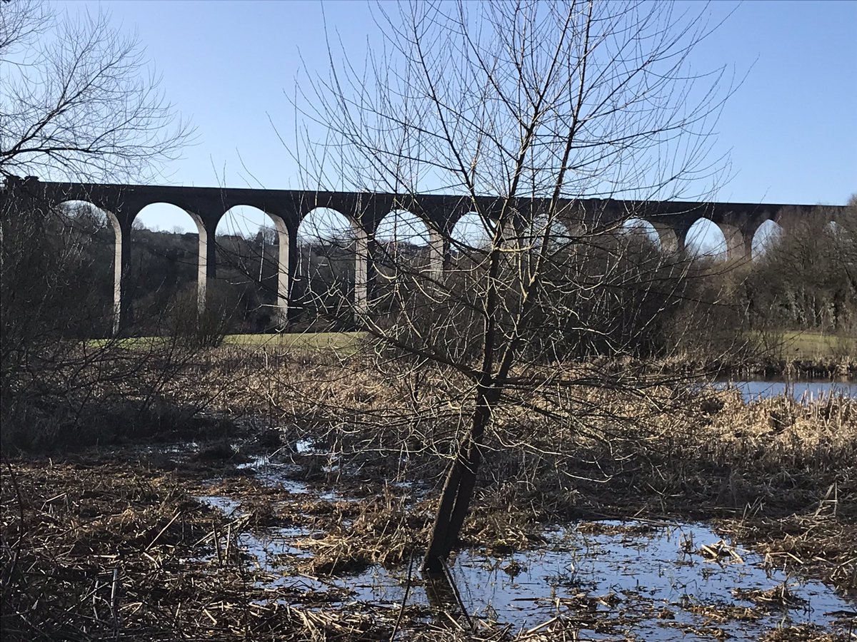 moreton_ian's tweet photo. Low suns a bugger in winter, can feel a migraine developing π©
But the ride was good π
#TransPennineTrail #saturdaysareforriding https://t.co/VX2GtVQ99l