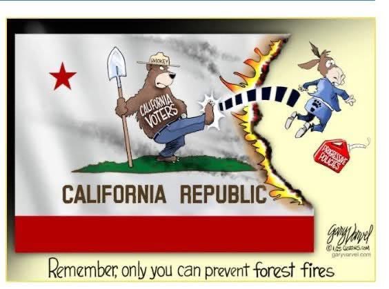 grief2grace's tweet photo. California voters kicking out progressive policies? The irony is richer than Silicon Valley. They've gone from "Only you can prevent forest fires" to "Only you can put out political ones." 🔥🐻😏
#California #CaliforniaFires #GavinNewsom #LosAngelesWildfires #HugesFire #Liberalism #Woke #Leftsist #LiberalsMustGo #Democrats #SaturdayVibes