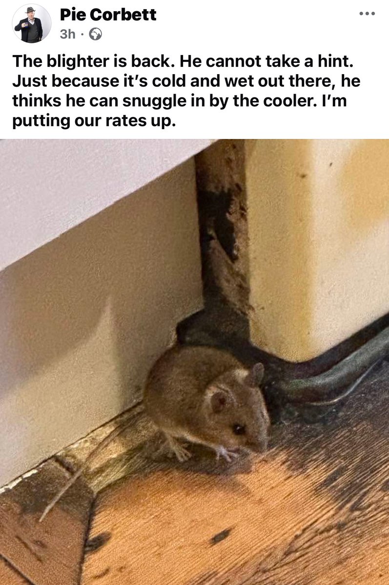 Gerald The Mouse tweet media