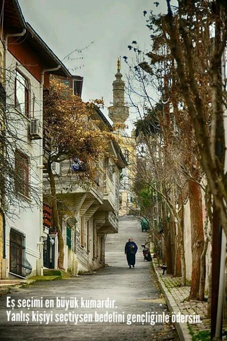 SonPerde11's tweet photo. https://t.co/h0P2Vs1xHR