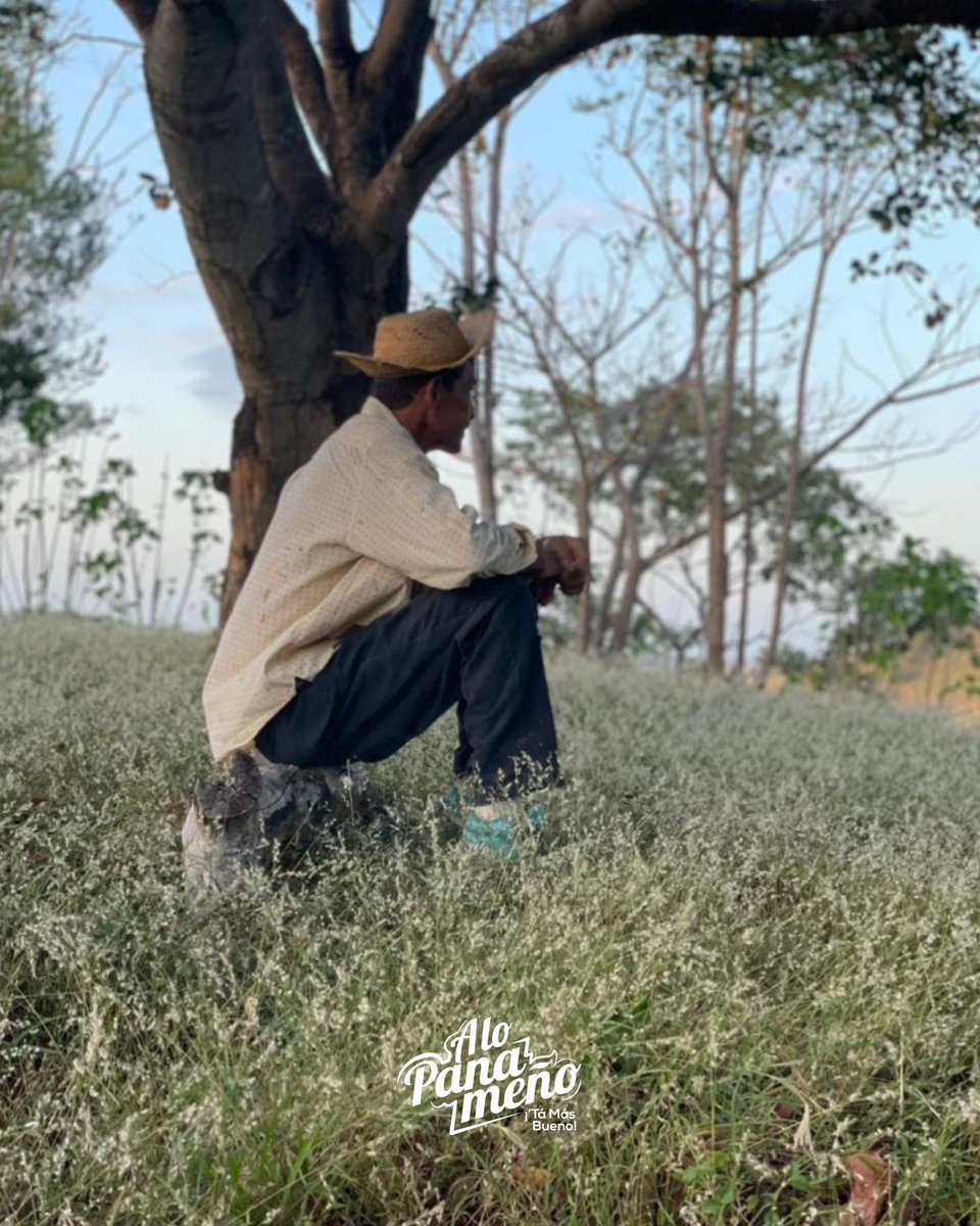 alopanameno's tweet photo. Nuestra Gente 🤝 ⛰️ 🌱
#TaMasBueno https://t.co/9qVS8c5n9b