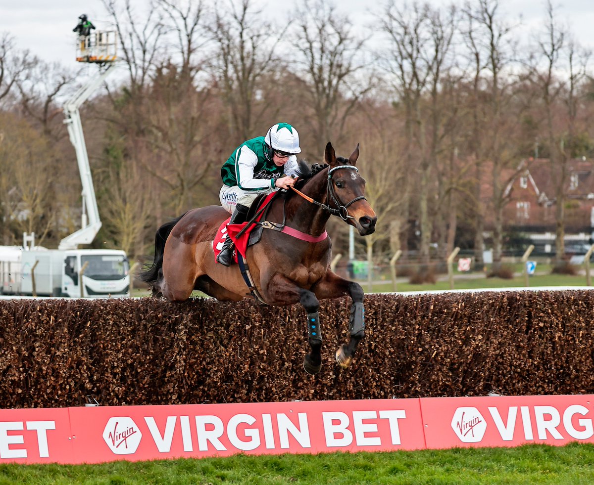 RacingPost's tweet photo. L'HOMME PRESSE wins the Betfair Cotswold Chase 💚 https://t.co/q8LHLt0re6