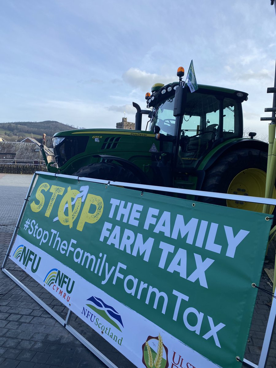 stella owen tweet media