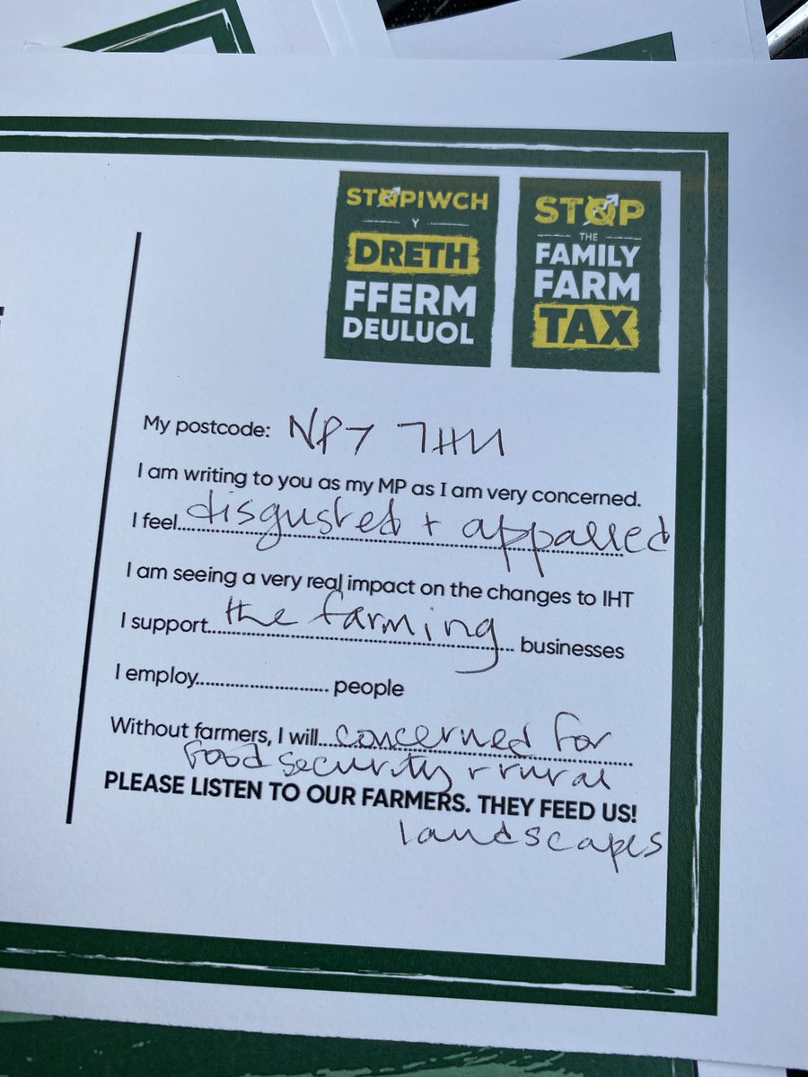 stella owen tweet media