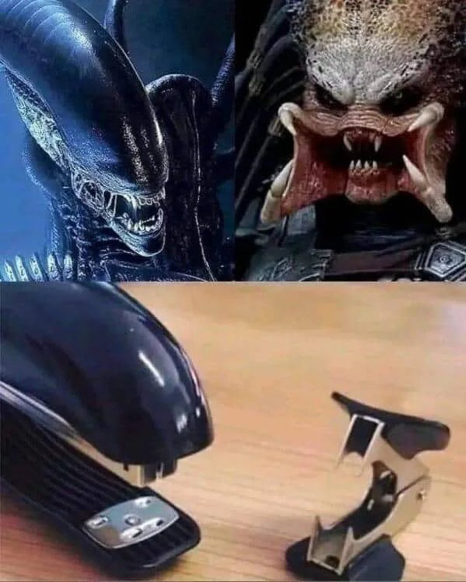Alien vs Predator