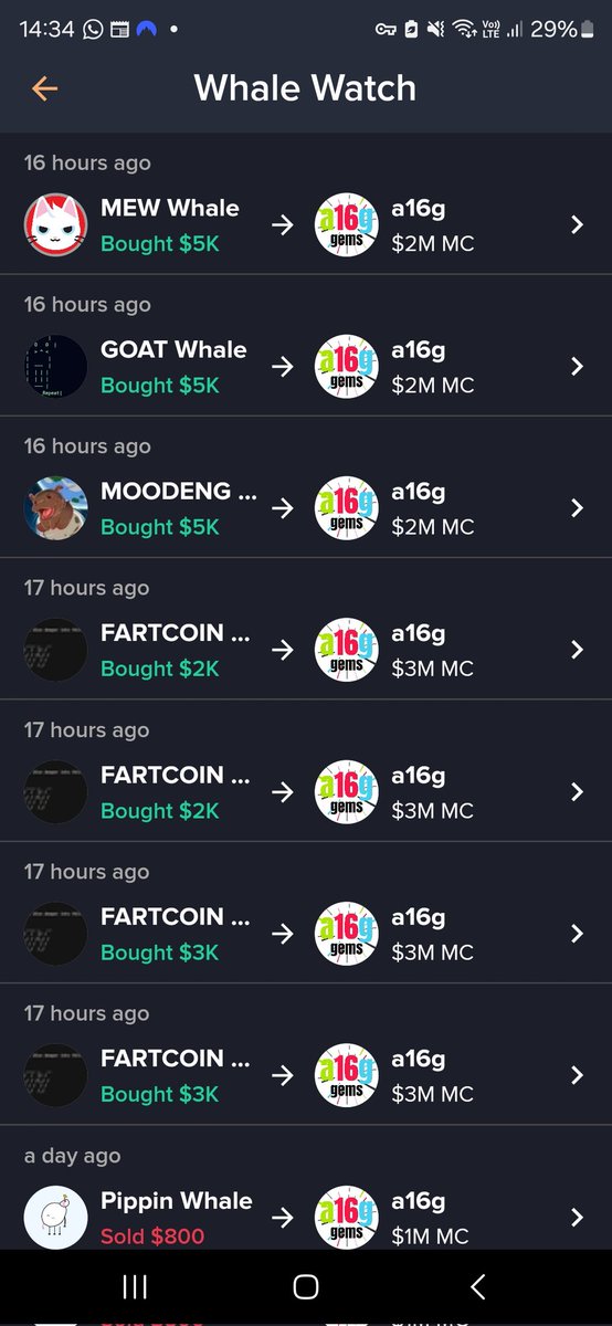 D-Minimis 🆙 🐳 tweet media