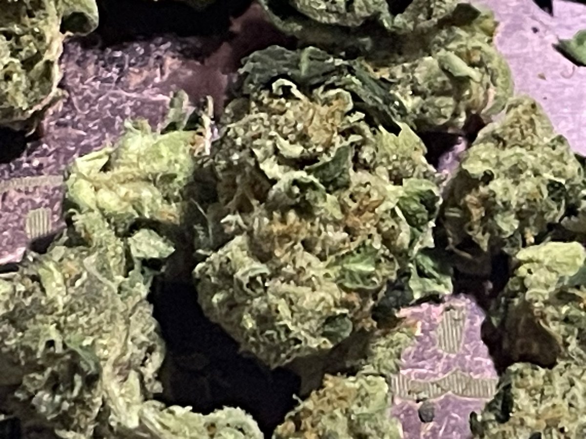 Upcoming review! I’m test-toking this strong and mildly hurtful strain this weekend. Drop a comment if there’s a strain or product that you would like to see me review here live.
