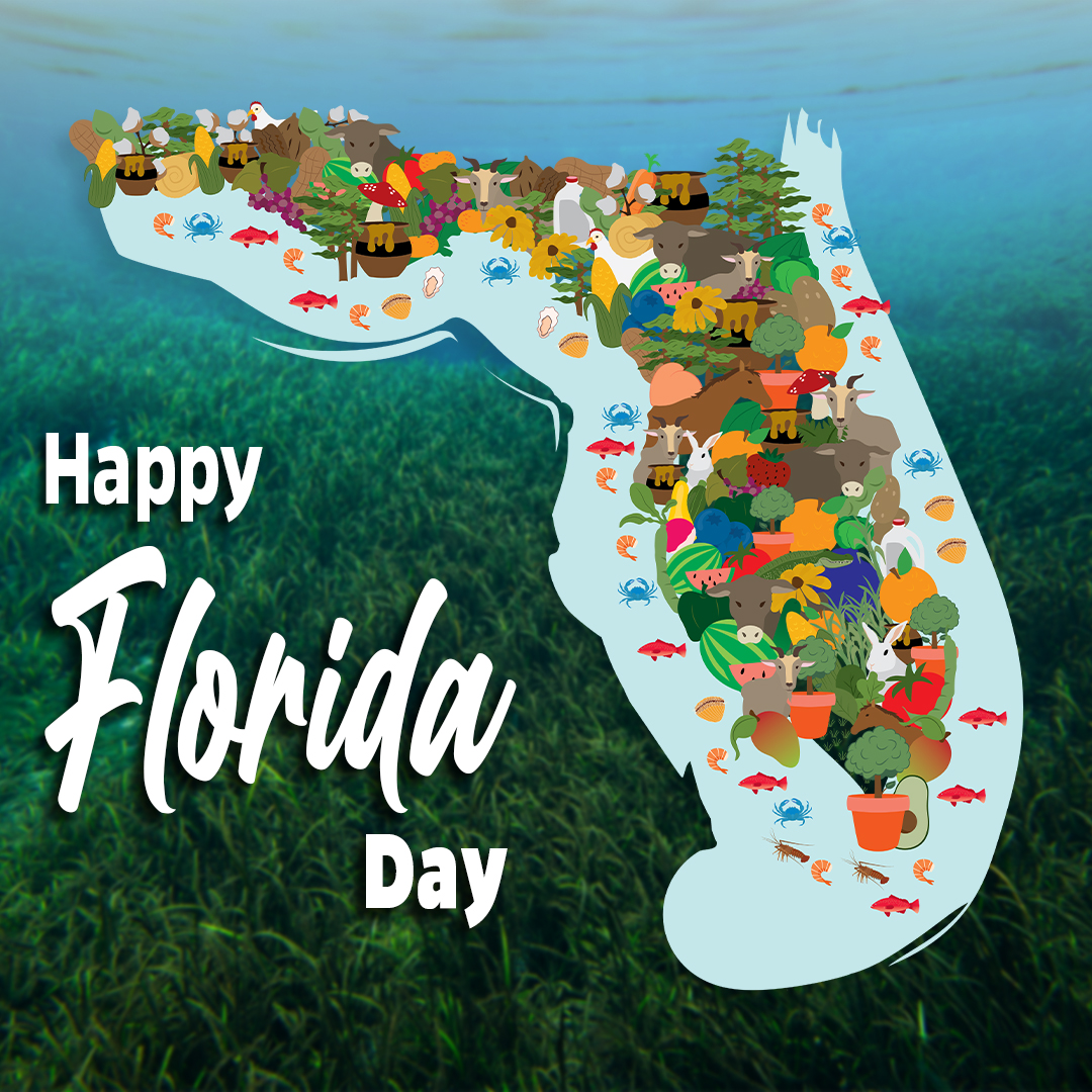 UF_IFAS's tweet photo. Happy Florida Day 🍊🍤🥩🌴 We hope you will celebrate with something Florida-grown. https://t.co/HWL9Y5TwDd