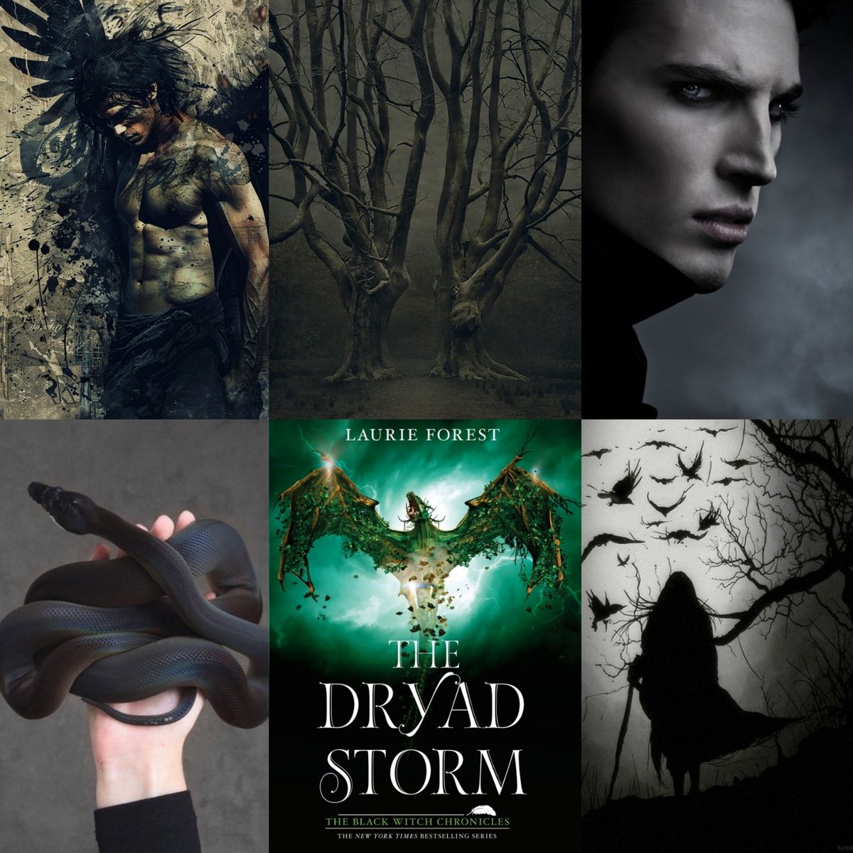 laurieannforest's tweet photo. #TheDryadStorm 
@HarperCollins
💚🌳🐲⚡️⚡️⚡️
#DeathFae #VigerMaul (one of my favorite characters) 🖤🐍🐍🐍🕸🕷 https://t.co/JvdC0TWvvl
