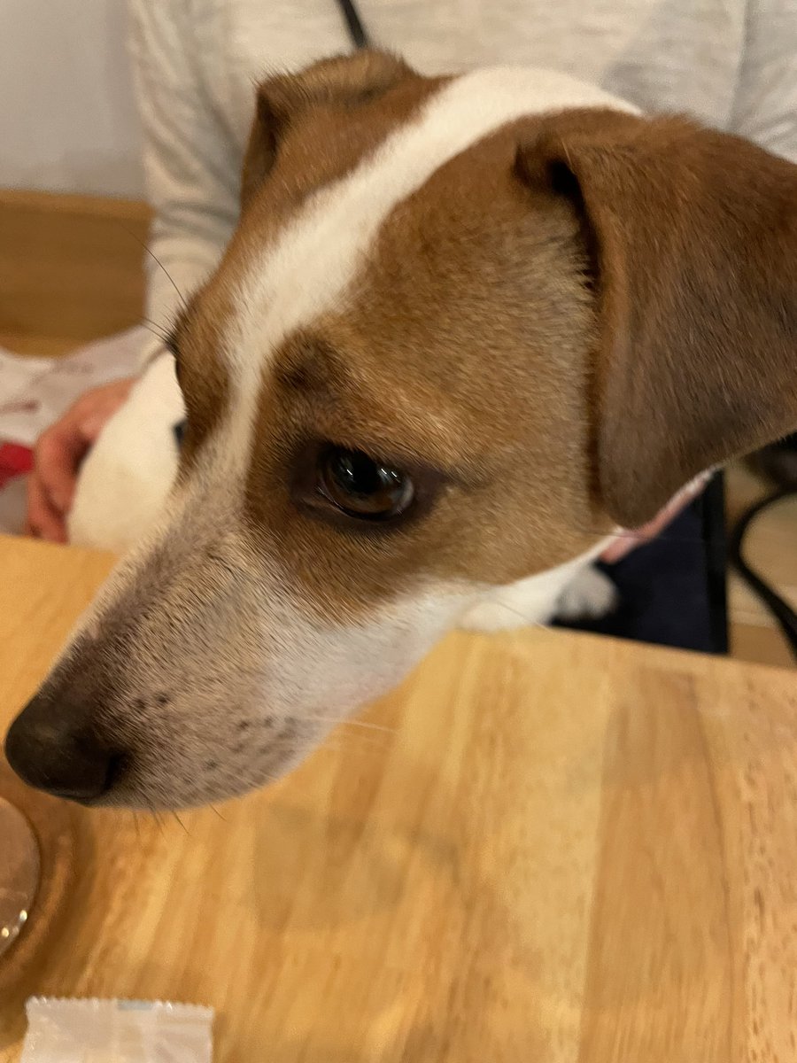 guruguruken's tweet photo. 今日は
初めて就職した会社の先輩方と
アフリカ料理店ADEGOで新年会
出会ってから
30年余の年を経て
再びご近所として集結する事になるなんて、おもしろい人生だ😊
アフリカ料理は最高に美味しいです!
#ADEGO https://t.co/BSij9l2JHh