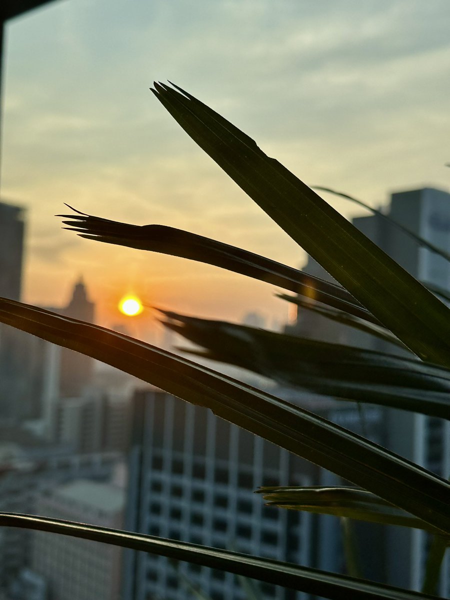 doksandy's tweet photo. Jan 25, 2025: end of the day, Bkk, Thailand #sunset https://t.co/4Z2m2Z5wfG