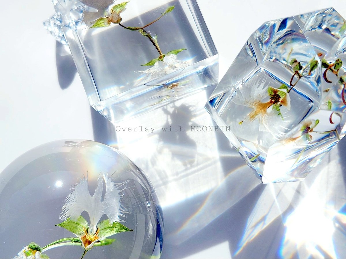 보고싶은 우리 빈이
여전히 당신을 꿈에서라도 만나고 싶습니다🍀 #누구보다_빛나는달_빈아_생일축하해