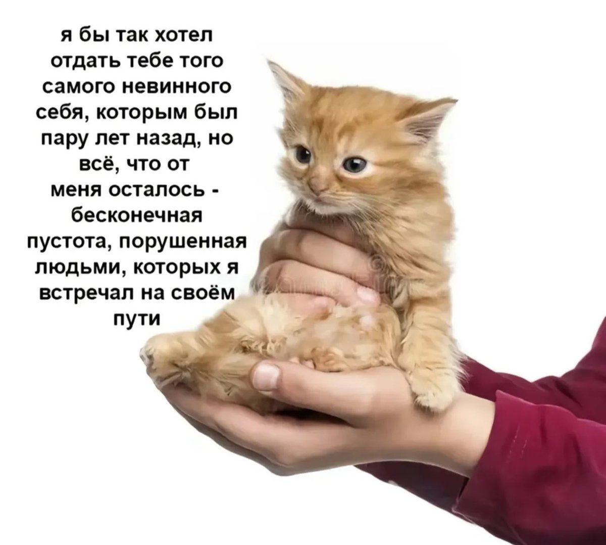treschenko24's tweet photo. Ребят, мы? https://t.co/a8zeUC0WJW