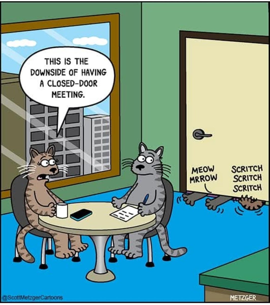 #ChatmediDeRire 《 C'est l'inconvénient d'avoir une réunion à huis clos 》😸
#ComportementFélin #Chats #Caturday #ScottMetzgerCartoons