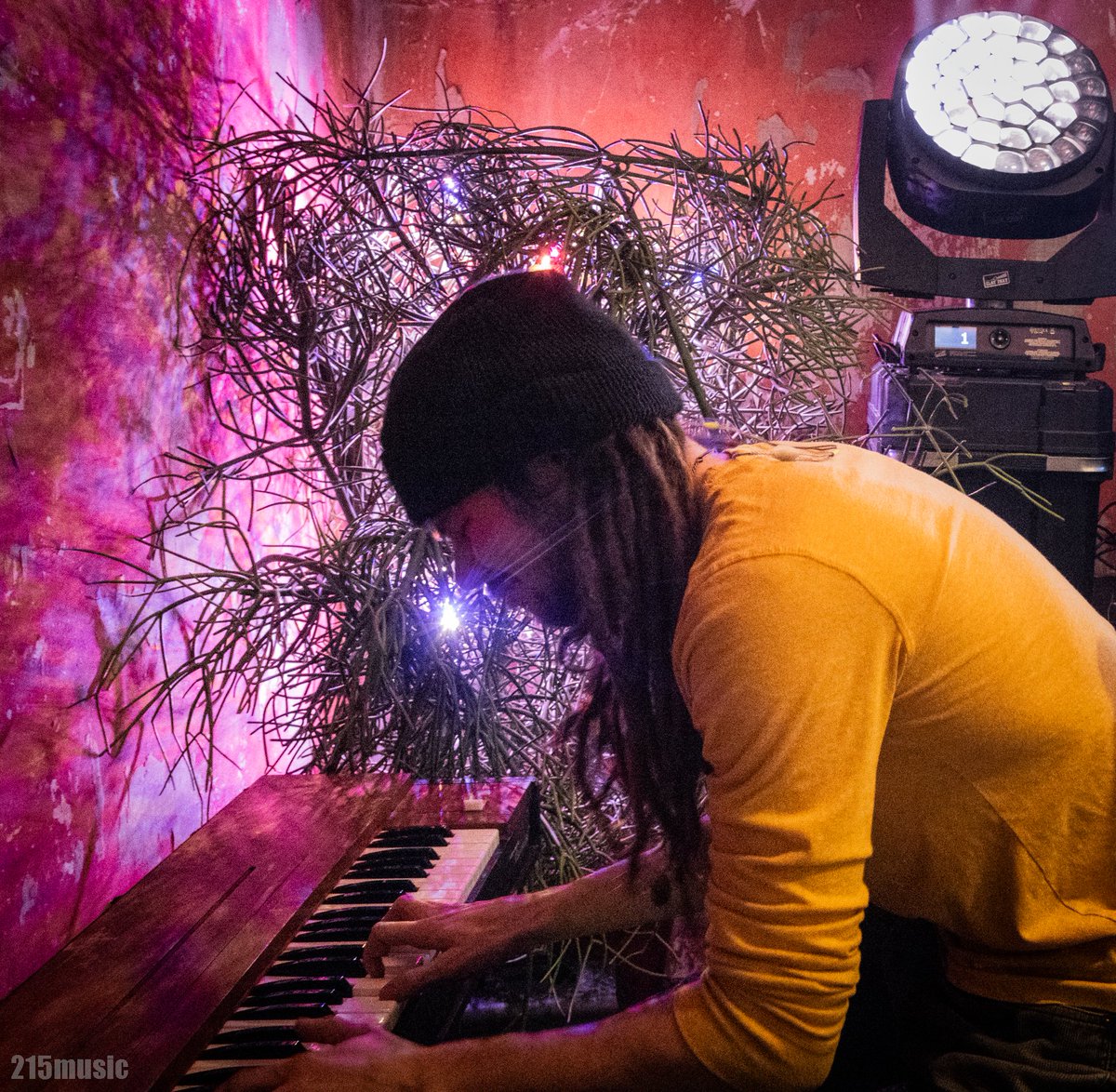 215Music tweet media