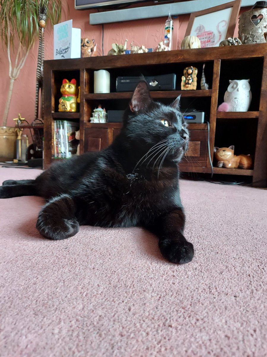 Have a good weekend beautiful pals 😻😘❤️