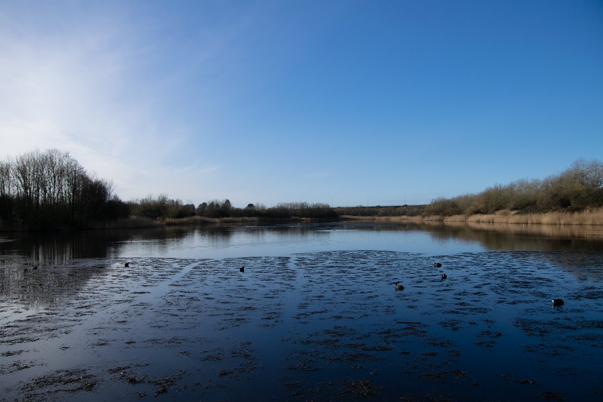 Lynne Thomas tweet media